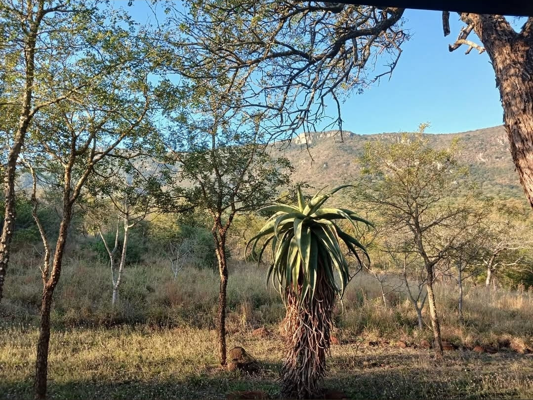View over the bushveld and Lubombo mountains