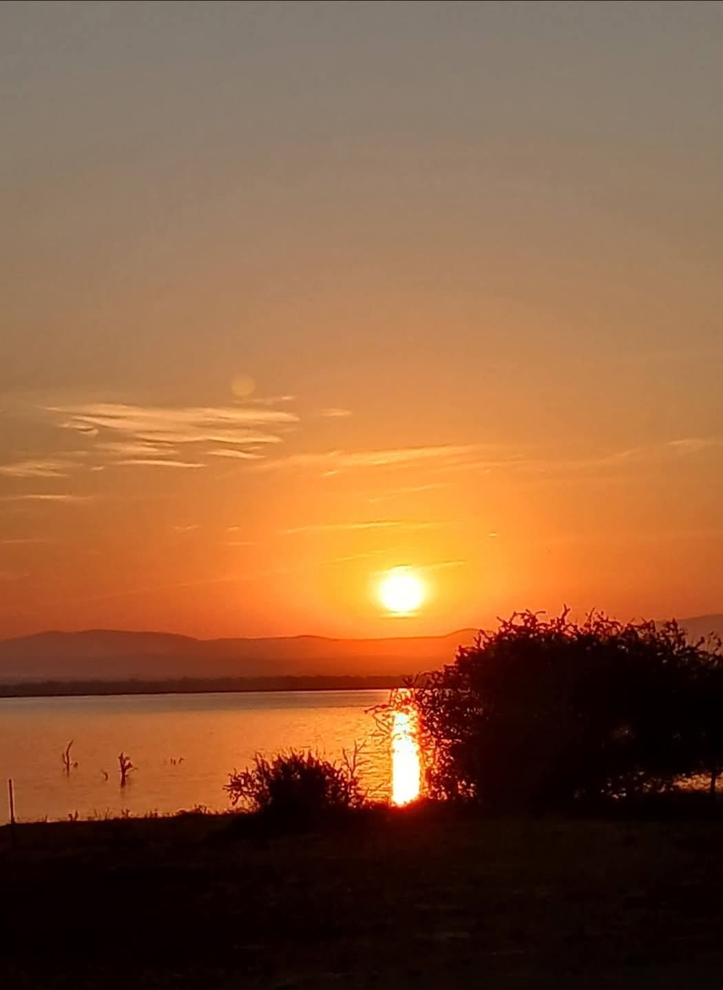 Sunset over the bush
